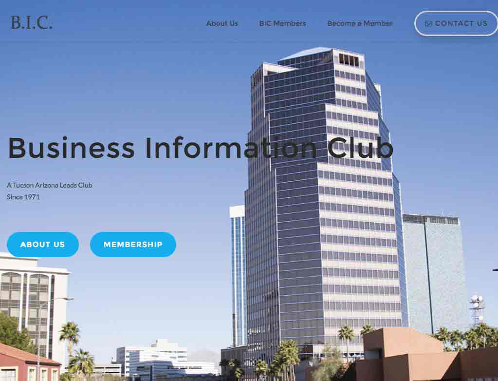 Business Information Club